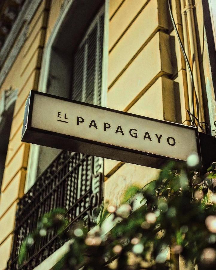 科尔多瓦 Casa Papagayo酒店 外观 照片